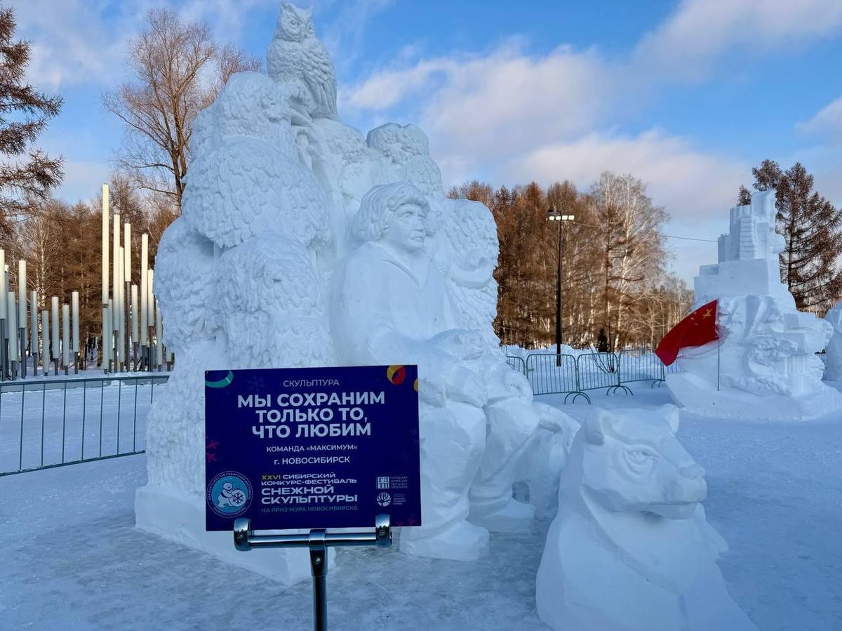 Фото Ледовые шоу, снежные скульптуры и метель: как Новосибирск отдыхал на новогодних каникулах 3